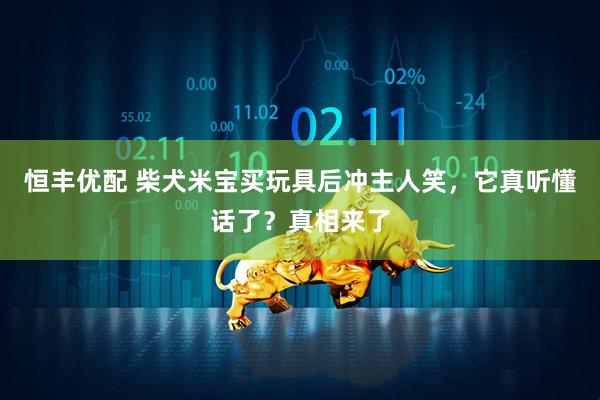 恒丰优配 柴犬米宝买玩具后冲主人笑，它真听懂话了？真相来了