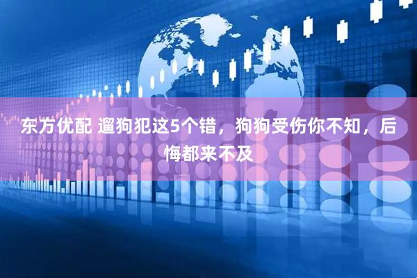 东方优配 遛狗犯这5个错，狗狗受伤你不知，后悔都来不及