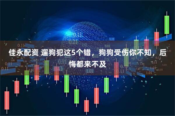佳永配资 遛狗犯这5个错，狗狗受伤你不知，后悔都来不及