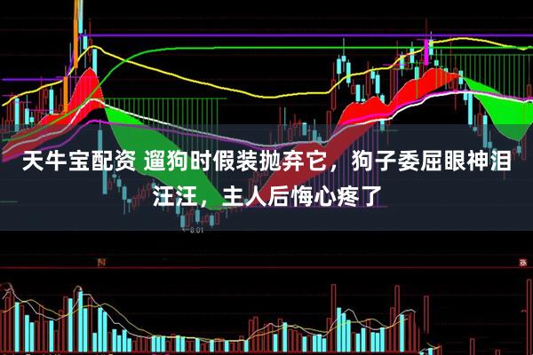 天牛宝配资 遛狗时假装抛弃它，狗子委屈眼神泪汪汪，主人后悔心疼了