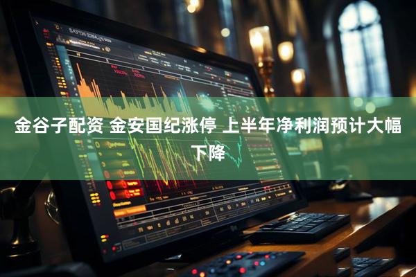 金谷子配资 金安国纪涨停 上半年净利润预计大幅下降