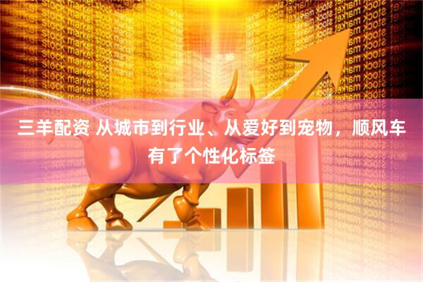 三羊配资 从城市到行业、从爱好到宠物，顺风车有了个性化标签